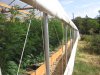 greenhouse 7-31-2014 058.JPG