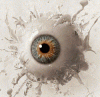 lens18095746_13095774023d-eyeball.gif