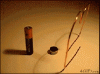 image12.gif