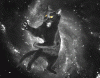 ninja-space-cat.gif