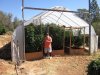 9-6-2014 greenhouse 015.JPG