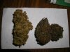 Nice Nugs 2.jpg