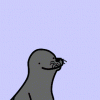 gay-seal-gif.gif