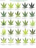 LEAF DEFICIENCY CHART.jpg