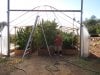 10-19-2014 greenhouse 029.JPG