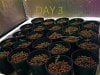 244327d1226989305-600-watt-small-grow-dos.jpg