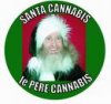 santa pot.jpg