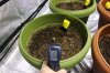 Soil temp-1.jpg