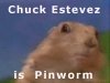 chuckworm.jpg