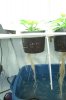 BatchGrow-Veg-Week3 (5).JPG