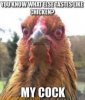 cock.jpg