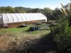 greenhouse 11-3-2014 007.JPG