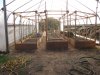 greenhouse 11-3-2014 009.JPG