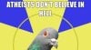 Tumbl-heure-Fuck-Yeah-Religion-Pigeon_w670_h372.jpg