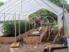 Greenhouse 3-30-2014 003.JPG