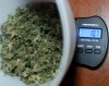 BlueDream-WeighIn-2.JPG