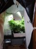 VegRoom-20090103-04.jpg