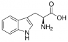 L-Tryptophan.png