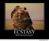 Ecstasy_o_8479.jpg