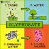 Glyphosate.jpg