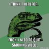 resized_philosoraptor-meme-generator-i-think-therefor-fuck-i-need-to-quit-smoking-weed-4f5d69.jpg