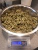 super lemon haze hash making 004.JPG