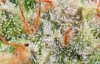 web-Trichs on Lost Lake Haze.jpg