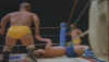 midget-wrestling-gif-flNI.gif