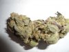 pineapplexpress bud.JPG