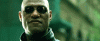 morpheus___the_matrix_by_benji3o3-d50bc8i.gif