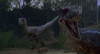 Velociraptor_jp3.png