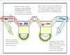 grow room vent diagram.JPG