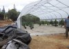 greenhouse update 5-14-2015 115.JPG