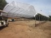 greenhouse update 5-14-2015 007.JPG