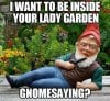 gnomesayin.jpg