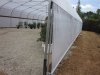 greenhouse update 5-14-2015 097.JPG