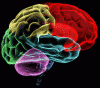 brain2.gif