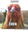 frabz-a-big-huge-cock-ec578c.jpg