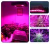 COB LED GROW LIGHT 13.jpg