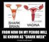 funny-shark-brain-uterus.jpg