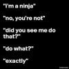 ninja.jpg