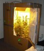 grow box.jpg