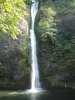 horsetail falls oregon 038.JPG