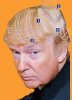 trump-hair-style-sized.jpg