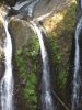 horsetail falls oregon 018.JPG