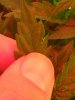 20150909_092912.jpg