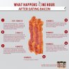 What-Happens-1-Hour-After-Eating-Bacon-via-jdfoods.jpg