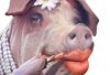 lipstick-on-a-pig-makeup-congress-super-congress-supercommittee-sad-hill-news2.jpg