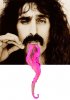 dawg zappa.jpg