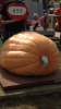 pumpkin1.PNG